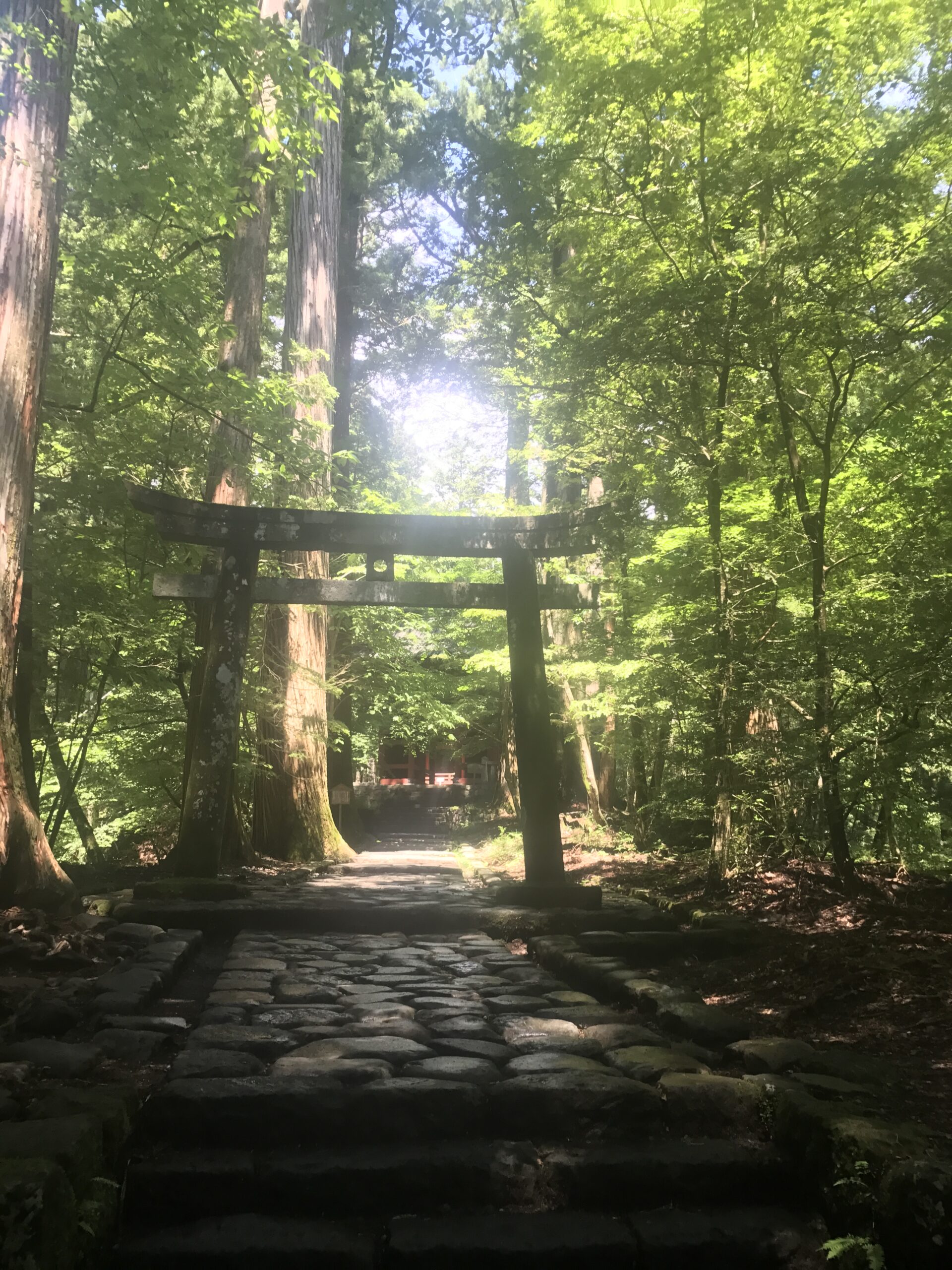 滝尾神社の鳥居